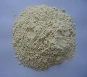 Dry Yellow Onion Powder